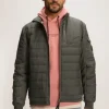 Jassen*Silvercreek Justin Jas